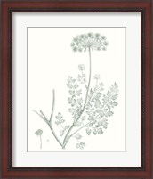 Framed 'Botanical Study in Sage V' border=