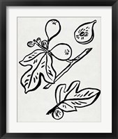 Framed 'Fig Season I' border=