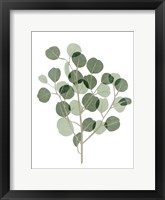 Framed Windy Eucalyptus I