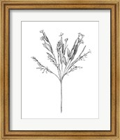 Framed 'Field Flower I' border=