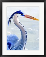 Great Blue II Framed Print