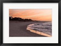 Framed Alabama, Gulf Shores, Beach, shore birds