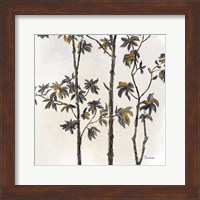 Framed Leafy Treetop III