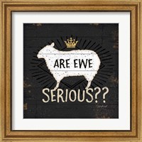 Framed 'Are Ewe Serious' border=