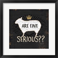 Are Ewe Serious Framed Print