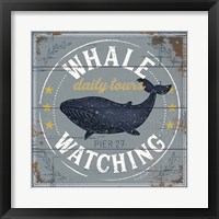 Framed 'Whale Watching' border=