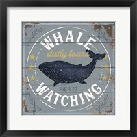 Framed 'Whale Watching' border=