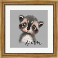 Framed 'Dream Raccoon' border=