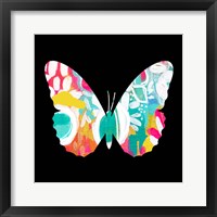 Framed 'Butterfly' border=