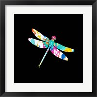 Framed 'Dragonfly' border=