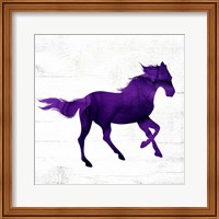 Framed 'Horse II' border=