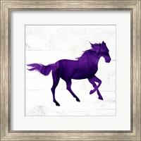 Framed 'Horse II' border=