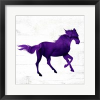 Horse II Framed Print