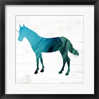 Horse III Framed Print