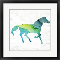 Horse IV Framed Print