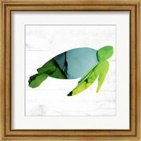 Framed 'Sea Turtle' border=