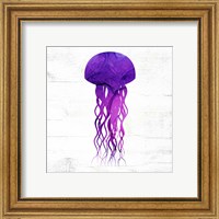 Framed 'Jelly Fish' border=