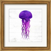 Framed 'Jelly Fish' border=