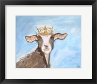 Queen Goat Framed Print