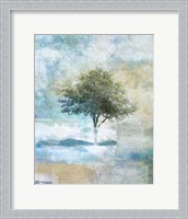 Framed Tree Abstract II