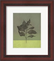 Framed 'Green Leaves' border=