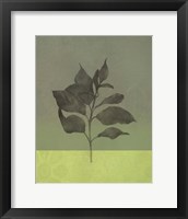 Framed Green Leaves