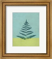 Framed 'Aqua Fern' border=