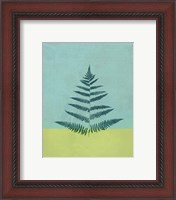 Framed 'Aqua Fern' border=