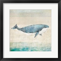 Framed Whale