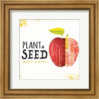 Framed 'Plant a Seed' border=