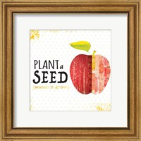 Framed 'Plant a Seed' border=