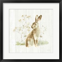 Meadows Edge VII on Wood Framed Print