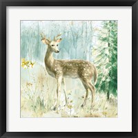 Meadows Edge III Framed Print