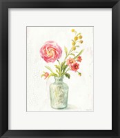 Framed 'Full Bloom VII' border=