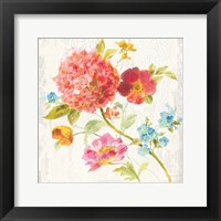 Framed 'Full Bloom IV' border=