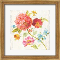 Framed 'Full Bloom IV' border=