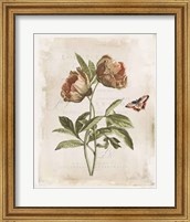 Framed 'Antiquarian Blooms VI' border=