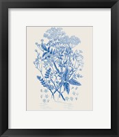 Framed 'Flowering Plants I Mid Blue' border=