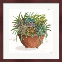 Framed Terracotta Succulents I