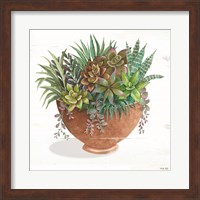 Framed Terracotta Succulents II