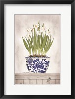 Blue and White Daffodils II Framed Print