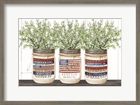 Framed Patriotic Glass Jar Trio I