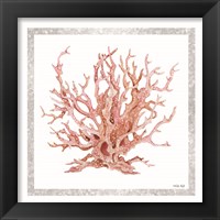 Framed 'Pink Coastal Coral I' border=