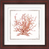 Framed 'Pink Coastal Coral I' border=