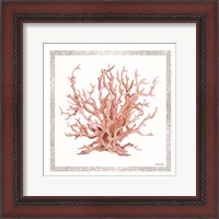 Framed 'Pink Coastal Coral I' border=