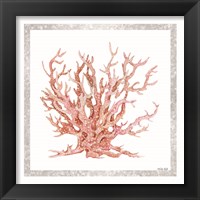 Framed 'Pink Coastal Coral II' border=