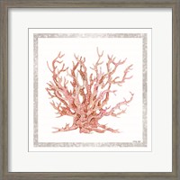 Framed Pink Coastal Coral II