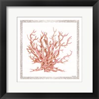 Pink Coastal Coral II Framed Print