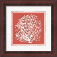 Framed 'Coastal Coral on Red I' border=