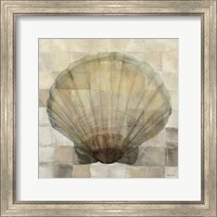 Framed 'Scallop Shell' border=